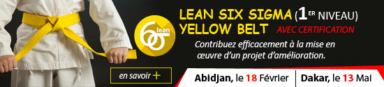 Lean six sigma yellow belt avec certification : Abidjan la 04 Février &  Dakar le 13 Mai