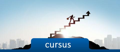 Nos cursus de formation