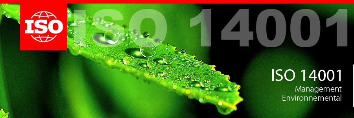 ISO14001 certification formation