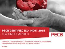 ISO 14001 LI