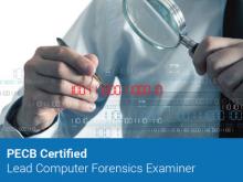 Formation Lead Forensics Examiner